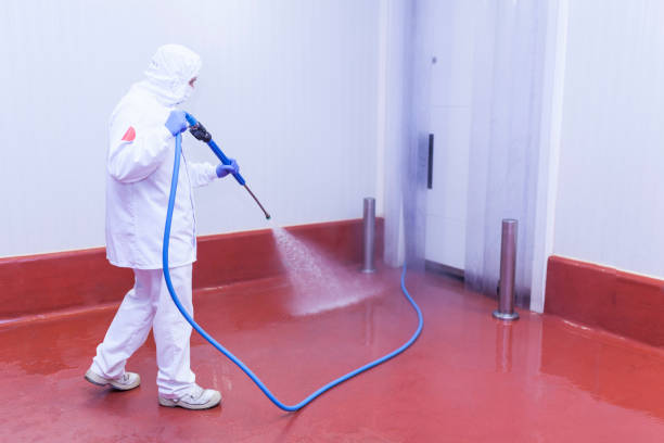 Best Sign and Awning Cleaning  in Mexico, MO